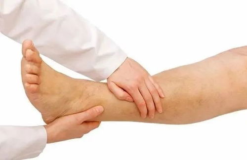 寧姐月嫂進社區，公益講座傳健康 唐山路社區經絡養生講座圓滿舉辦